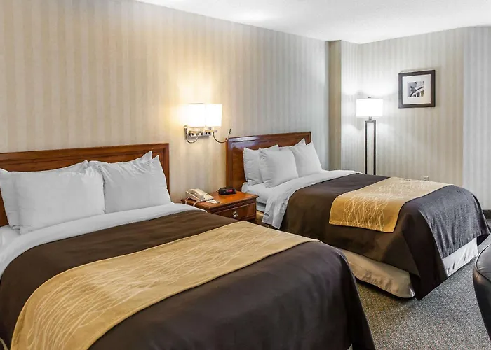 Comfort Inn Pentagon City Arlington