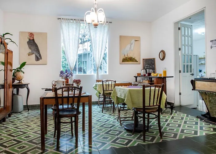 Stella Bed & Breakfast Mexico City