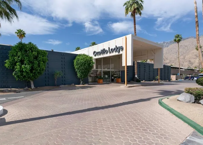 Modern Bungalow In Historic Ocotillo Lodge! Palm Springs