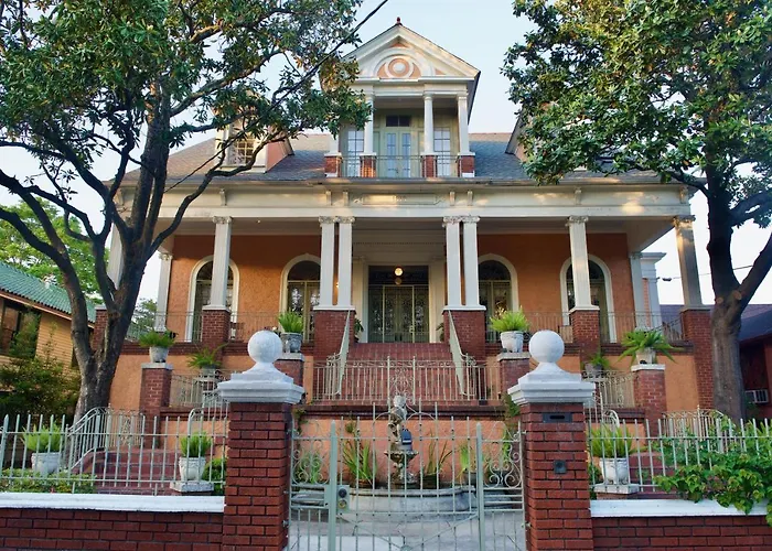 The Happy Place #1 New Orleans