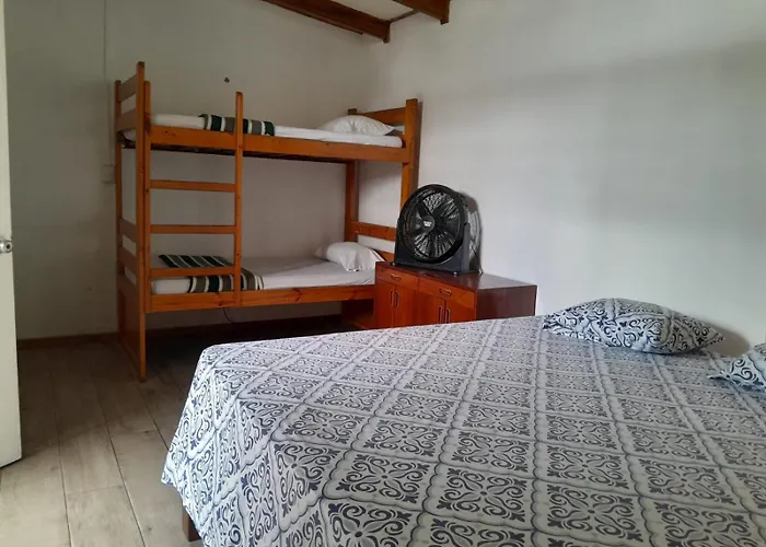 Gaudy'S Hostel San Jose 