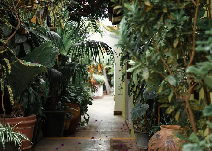 Hotel Las Golondrinas Oaxaca