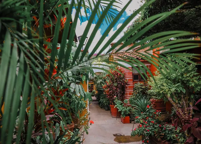 Hotel Las Golondrinas Oaxaca
