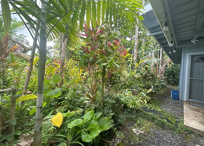 Hawaiian Ohana Home Hilo