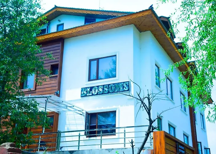 Hotel Blossoms Srinagar 