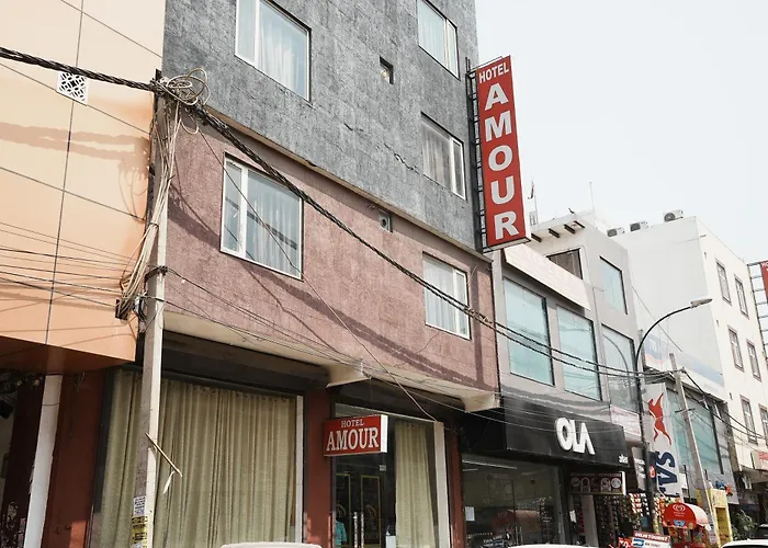 Hotel Amour Near Igi Delhi Airport New Delhi
