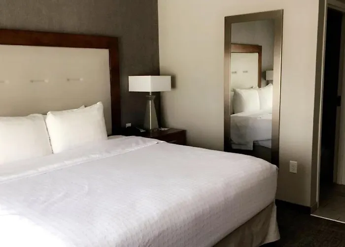 Homewood Suites By Hilton Syracuse - Carrier Circle East Syracuse