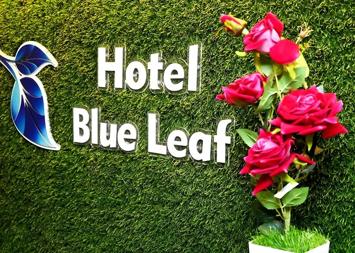 Hotel Blue Leaf Rajkot