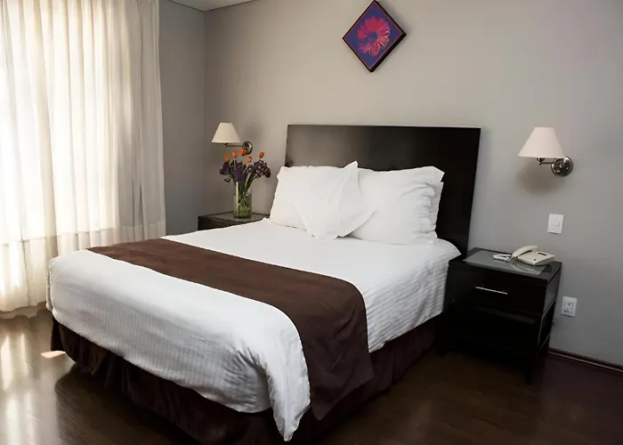 Suites Giorgio Mexico City