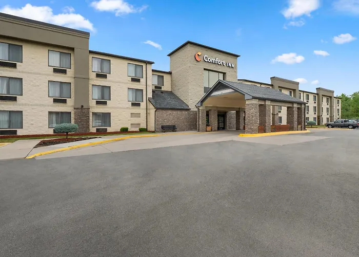 Comfort Inn Metro Airport Romulus