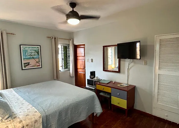 The Blue Orchid B&B Montego Bay