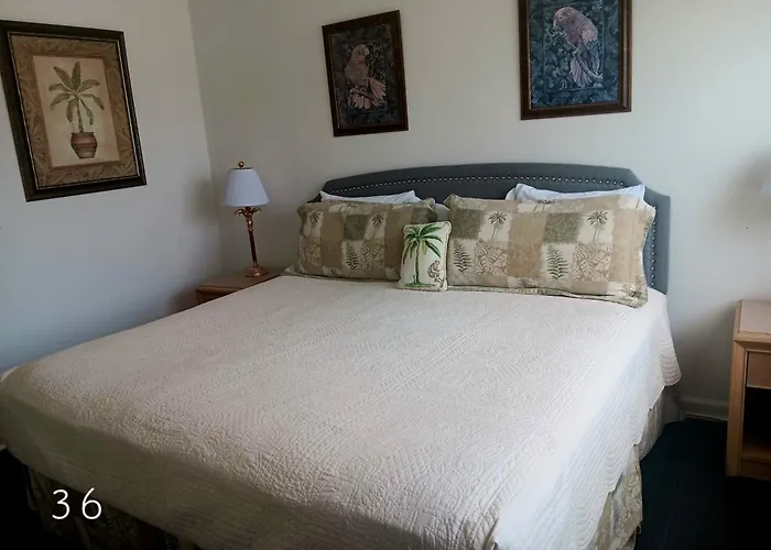 The Cozy Inn St. Augustine