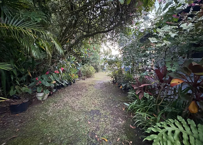 Hawaiian Ohana Home Hilo