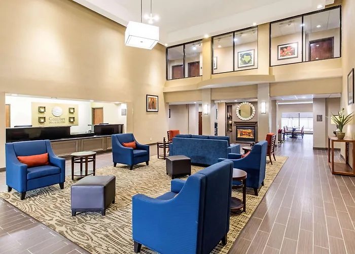 Comfort Suites Humble