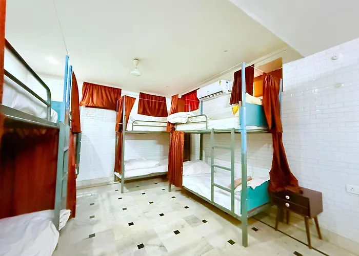 Wonbin Safari Jaisalmer