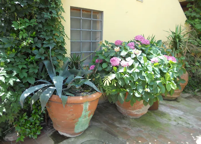 Agriturismo Le Macine Florence