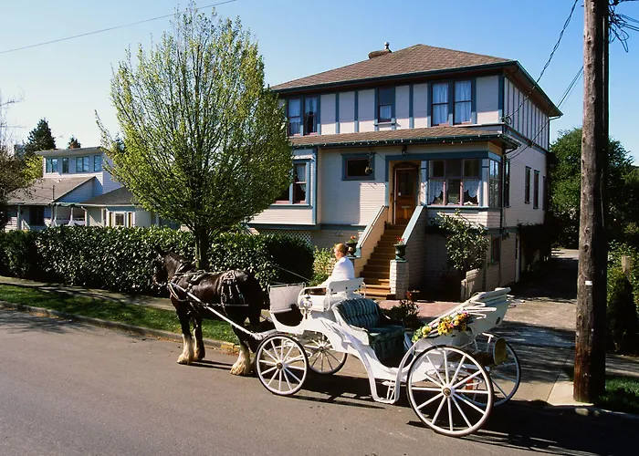 Marketa'S Bed And Breakfast Victoria