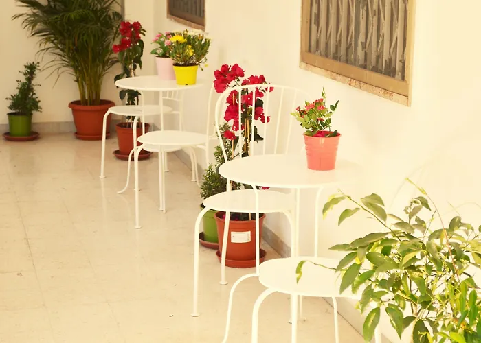 Olive Tree Hostel Bari