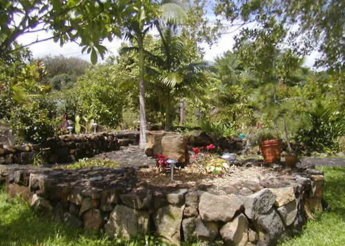Old Hawaiian Bed And Breakfast Hilo