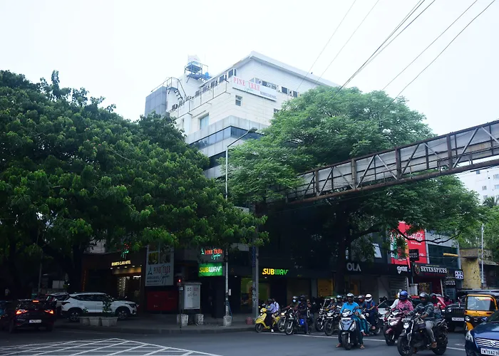 Pine Tree Signature Chennai