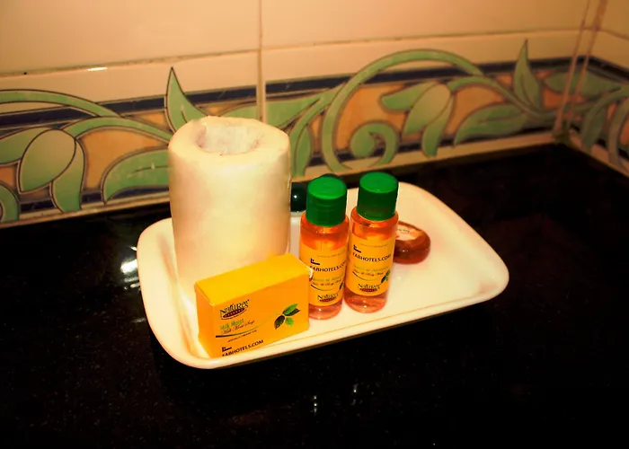 Hotel Silver Plaza Ahmedabad