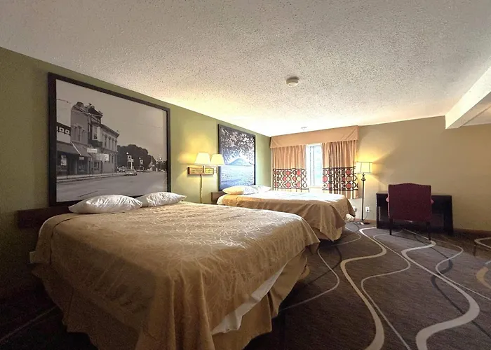 Super 8 By Wyndham Normal Bloomington Motel