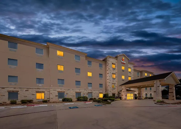 Comfort Suites San Antonio North - Stone Oak