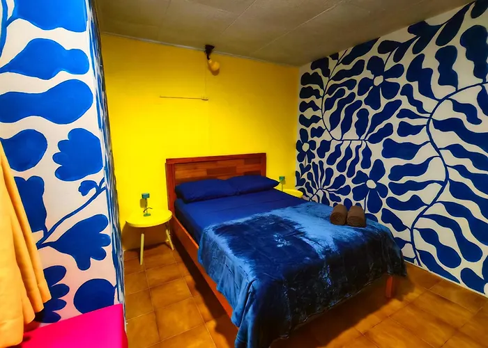 Chillout Hostel Barrio Escalante San Jose 