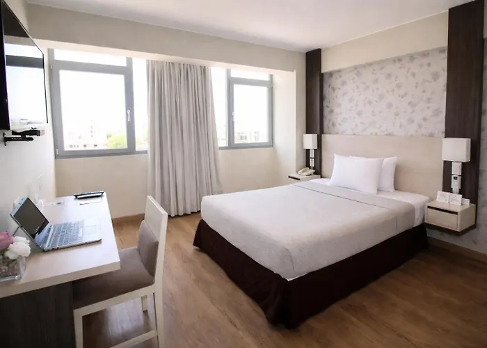 Palmetto Hotel Business San Miguel Lima