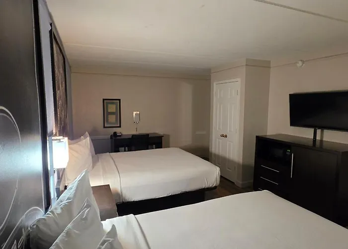 Super 8 By Wyndham Austin South I-35 Hotel