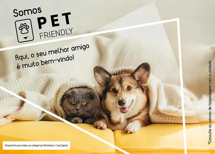 Ibis Budget Sp Frei Caneca São Paulo
