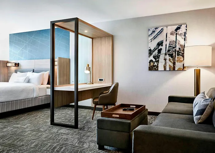 Springhill Suites By Marriott Charlotte Arrowood