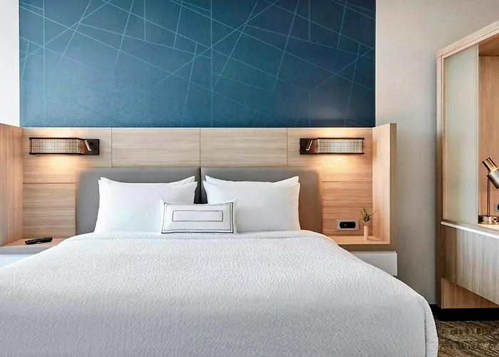 Springhill Suites By Marriott Charlotte Arrowood