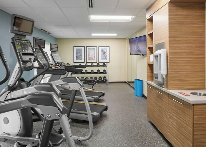 Towneplace Suites By Marriott Tampa South