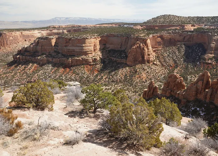 Castle Creek Bed And Breakfast Grand Junction