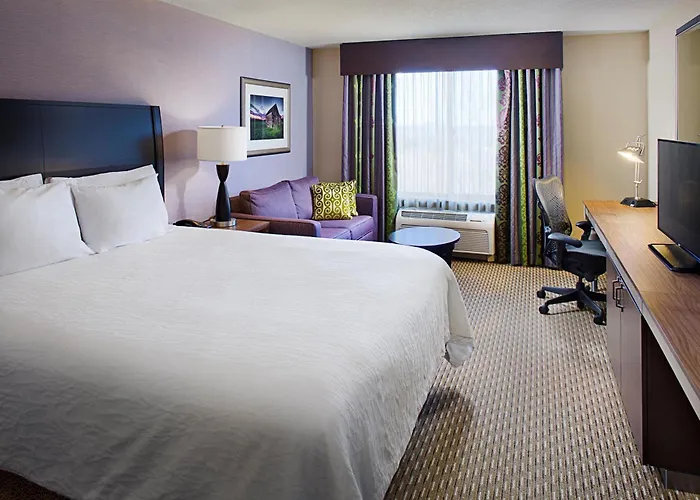Hilton Garden Inn Hartford North-Bradley International Airport Windsor