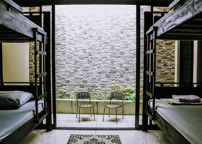 Stray Cat Hostel San Jose 